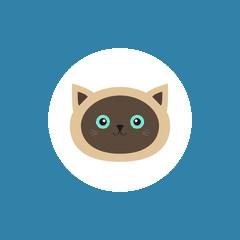 简便电视浏览器(Vita Browser)v1.5.0 安卓纯净版