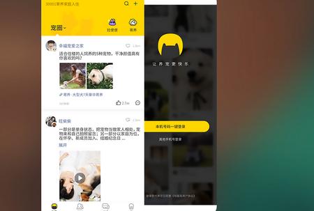 句苗岛养宠生活圈 句苗岛养宠生活圈