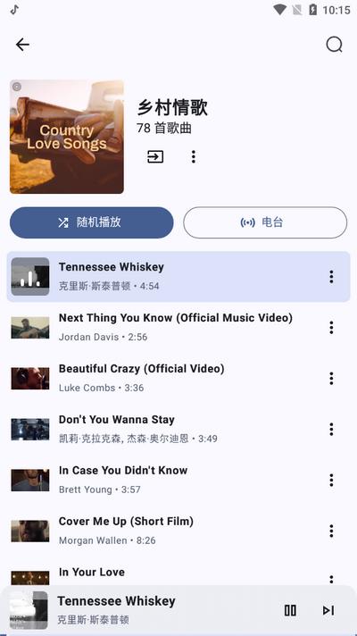 Metrolist音乐软件