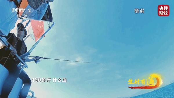 简单TV电视直播软件