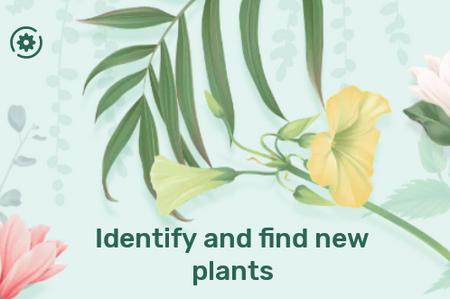 Blossom植物识别app