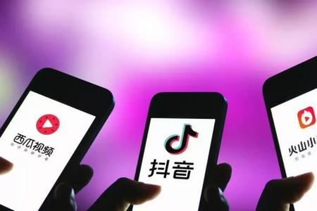 师渔app最新版