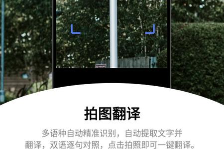 云杰翻译最新版