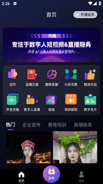 灰豚数字人