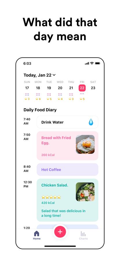 DayMade v5.3.1