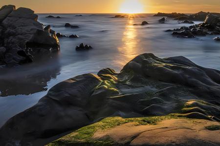 许久社区重置版 许久社区重置版