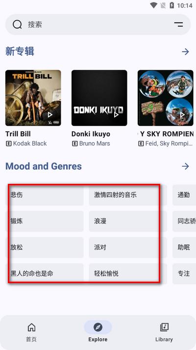 Metrolist音乐软件