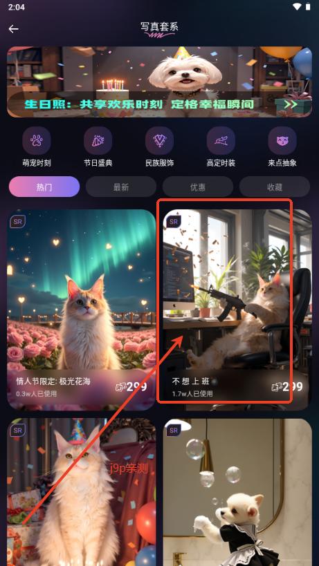 小红猫宠物写真