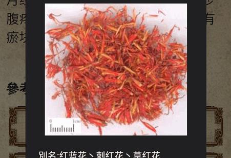 中医生活app官方版 中医生活app官方版