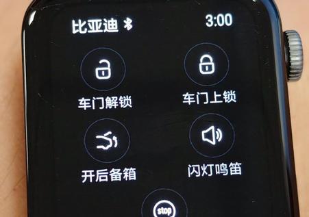 比亚迪汽车APP手表版 比亚迪汽车APP手表版