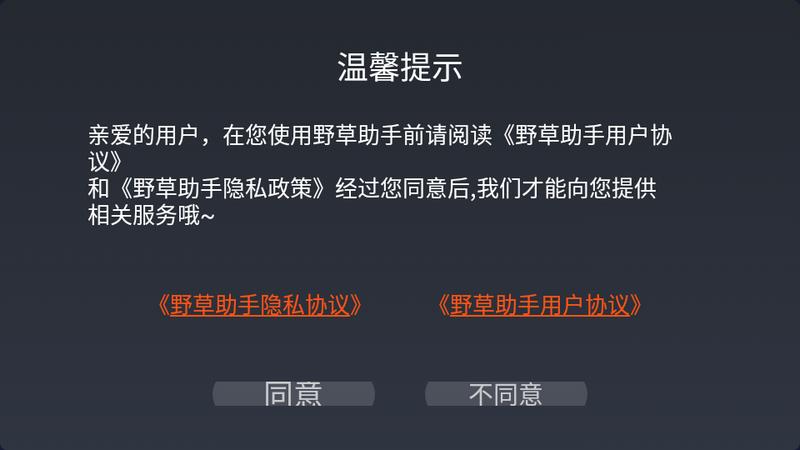 野草助手TV版