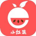 小红果