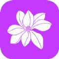 小兰君养花大师