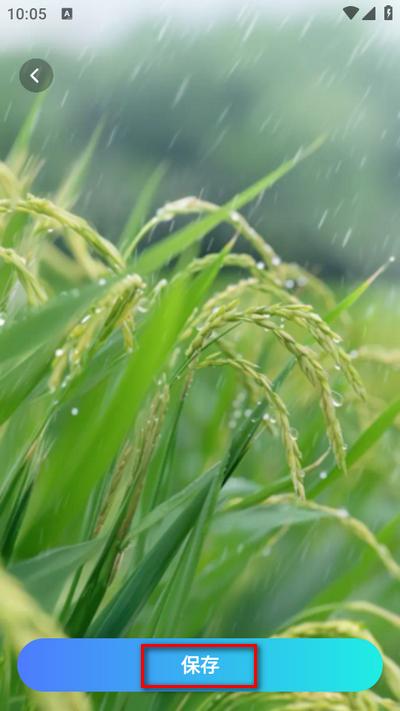 晴云指南app官方版 晴云指南app官方版