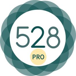 528 Player pro音乐播放器专业版app41.51修改版