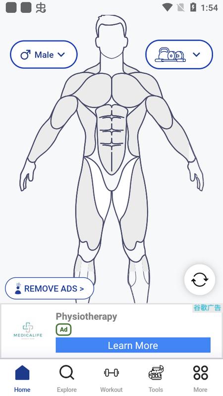 MuscleWiki安卓版v2.2.11最新版 v6.4.2