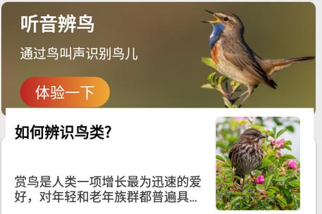 拍照识鸟(Picture Bird) 拍照识鸟(Picture Bird)