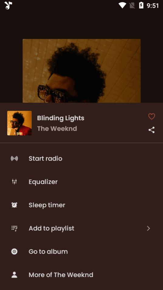 苹果音乐第三方客户端(Apple Music)v4.6.0 高级专业版 v6.5.1