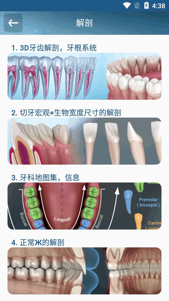 牙科3D插图免费版(Dental Illustrations)