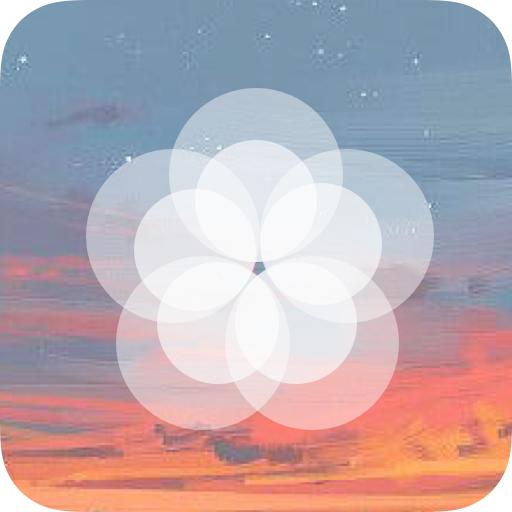 枫知手机主题壁纸app手机最新版1.0.3官方版