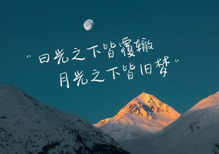 文案大师手机版