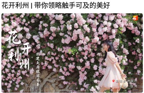 利州融媒体中心客户端 利州融媒体中心客户端