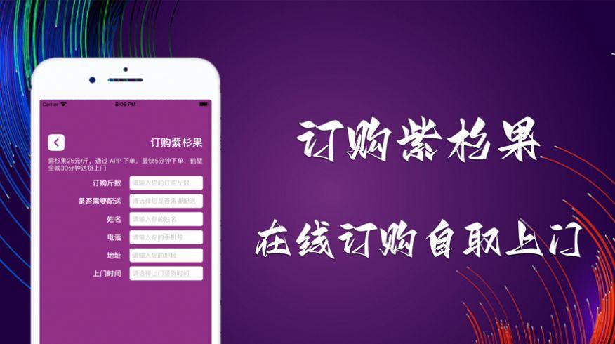 紫杉缘 v5.2.1