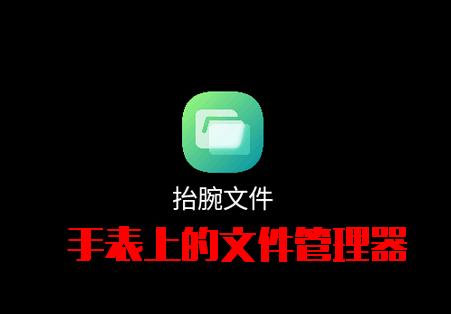 抬腕文件管理器