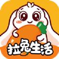 拉兔生活