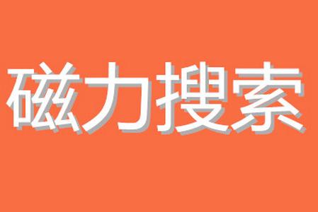 乐搜磁力搜索安卓版