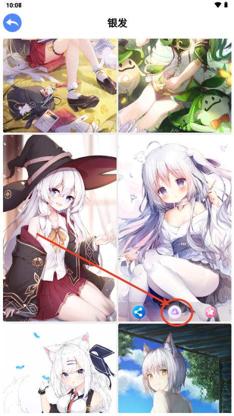 波奇壁纸app