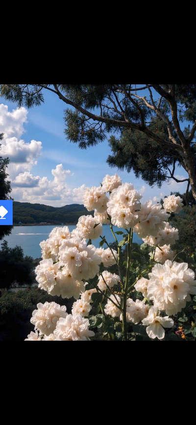 豆印无码去水印app