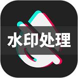免费去水印王