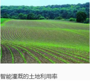 田老大app官方正版下载