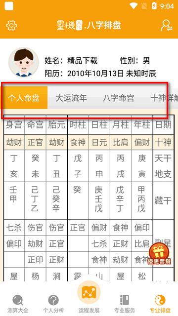 灵机八字排盘专业版