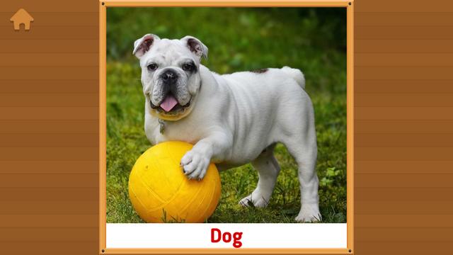 动物单词卡片(Flashcards for Kids) 动物单词卡片(Flashcards for Kids)