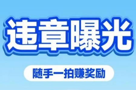车拍拍app手机版 车拍拍app手机版