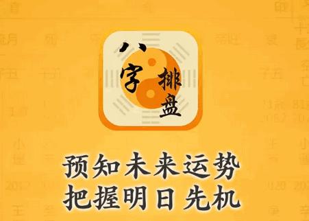灵机八字排盘专业版