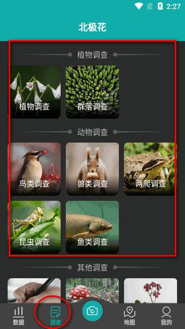 北极花生物调查app官方版 北极花生物调查app官方版