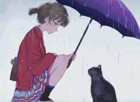 逗猫动漫免广告版