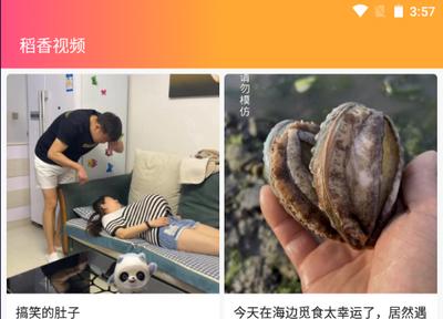 稻香视频安卓版