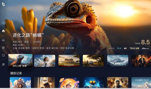 极空间TV版app最新版