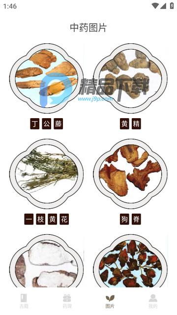 中医古籍中医宝典