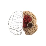 快背中医APP最新版v2.0.6 安卓版