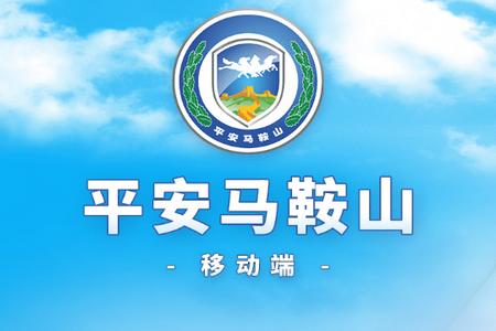 平安马鞍山信息化平台