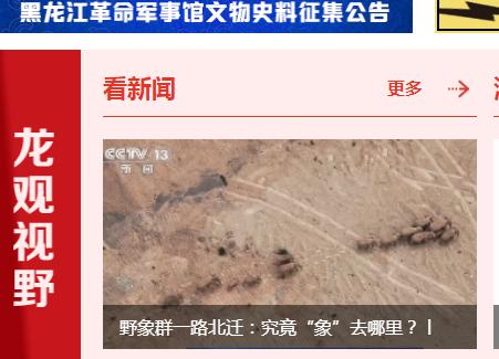 龙头新闻客户端