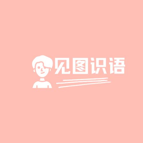 见图识语手机版v1.0.3最新版