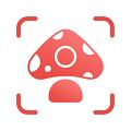 PictureMushroom