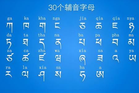 藏语识别君官方版 藏语识别君官方版