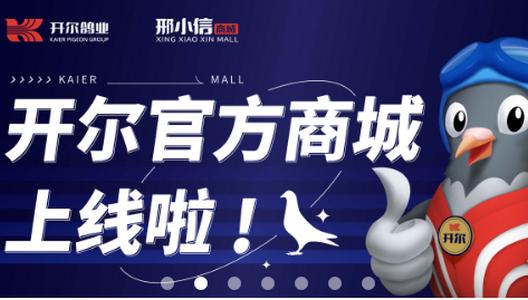 开尔邢小信app官方版 开尔邢小信app官方版